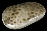 Polished Petoskey Stone (Fossil Coral) - Michigan #177187-1